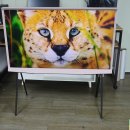 01.한내다리 A | 인테리어 가전 끝판왕 핑크 TV 55인치 세리프 중고매입후기 KQ55LSB01PFXKR