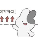 수진2호 이미지