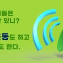 용인대 흑룡합기도 이미지