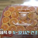몽실이네 이미지
