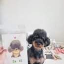 먼치캣 | [2026 펫쇼코리아 일산] 킨텍스 방문 + 간식 대량구매 후기