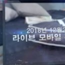 라이프침장