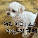 감성전주 | [전북 전주] 전북대병원 감성카페 카운드리 카페 후기