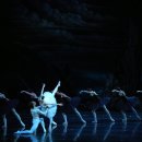 유니버설발레단 <백조의 호수> 이미지