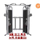 진펠리스