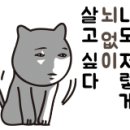 368아울렛 이미지