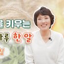 면역력을 키우는 하루 한 알 이미지