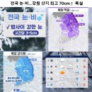 전국 눈, 비 ~~~ 강원 산지 최고 70cm 이상 폭설 이미지