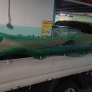 광주세종 이미지