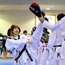 태백강원태권도체육관 이미지