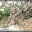 양옥마을회관 이미지