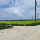 옥금리 마을회관 이미지