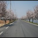 용산천변길 이미지