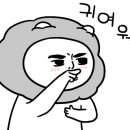 하늘동물병원 이미지