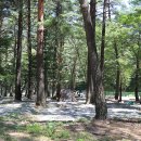 농사체험야영장 이미지