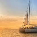 제주코롱코롱 이미지