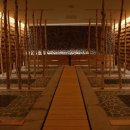 면역공방 이미지