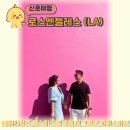 신혼여행-LA편] 꿈의나라 미국 로스앤젤레스에서 복권 긁어보기. 베버리힐즈, 폴 스미스 핑크월,더...