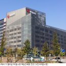 유화 엔에프 아이뉴스24