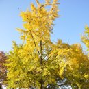 가을여행 이미지