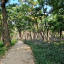 황성공원 실내체육관 이미지