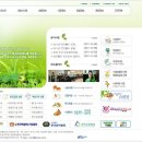 세종코퍼레이션주 이미지
