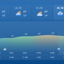 Re: 11월5일(일)오전11시30분 남산둘레길 단풍트레킹/날씨 및 기온 이미지