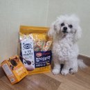 밥이보약 | [협찬] 밥이보약 영양톡톡&amp;반짝이는 눈 후기