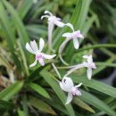 외길농장 이미지