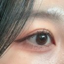 에스투아이(주) | 에스투앤디 컬러라이즈 섀도우: 청담 메이크업샵에서 추천하는 아이템