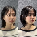 레브정