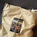 곰팅이 PC 이미지