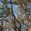 대전둘레산길 이미지