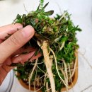 내포농산 이미지