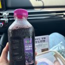 바다랑포도펜션 | 대부도 드라이브 간식｜포도향 가득한 대부도포도찐빵 포도착즙주스 대부도카페 추천