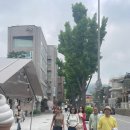 특수임무유공자회 서울특별시지부 서초구지회 네이버블로그