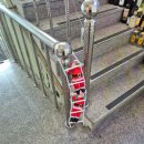 유니독스 | [수원 팔달문] 최고의 애견카페! 루프독스 💖