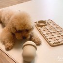 (주)메트워크 이미지