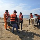 점박이 물범가족 이미지