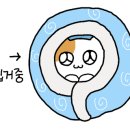 홍루이젠 강릉교동점 이미지