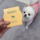너즐리 이미지