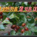 이장우농장 이미지