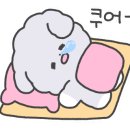 멍줍강아지산책유치원 이미지