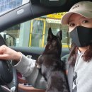 연경동물병원 이미지