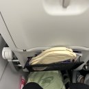[Travel Item] 짐 부피 ZERO! 홍콩 여행 꿀잠 보장한 '접이식 휴대용 슬리퍼' 찐 사용후기 ✈️
