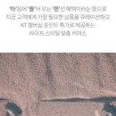 마들랜 이미지