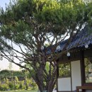 초연스테이 | 초록초록한 정읍펜션 초연스테이 추천 후기:)