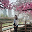 율무상점 이미지