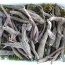 봉화산농장 이미지