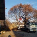 영은물류 이미지